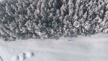 Kış çam ormanı ve güneşli bir kişi ile karlı yolu havadan görünümü