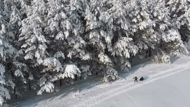 Вид с воздуха на зимний сосновый лес и снежный путь с людьми в солнечный день — стоковое видео