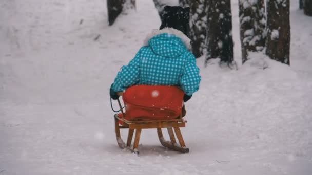 Niña en trineo de madera baja de una colina nevada en el bosque de pinos. Moción lenta — Vídeos de Stock