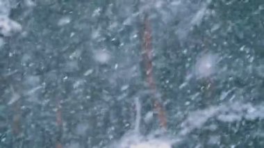 Kar yağışı karlı Noel ağaçları kış çam ormanı. Ağır çekim