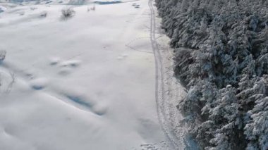 Kış çam ormanı ve güneşli bir günde kar yolu havadan görünümü