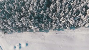 Kış çam ormanı ve güneşli bir kişi ile karlı yolu havadan görünümü