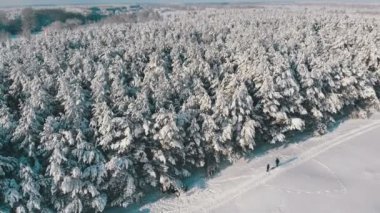 Kış çam ormanı ve güneşli bir kişi ile karlı yolu havadan görünümü
