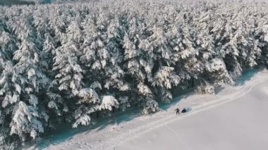 Kış çam ormanı ve güneşli bir kişi ile karlı yolu havadan görünümü