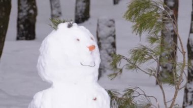 Kardanadam karla kaplı Noel ağaçları ile ayakta bir çam ormanı içinde yüzü