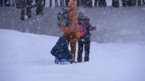 父、母、幼い息子、降雪の松林でそりに乗って娘の家族。スローモーション — ストック動画