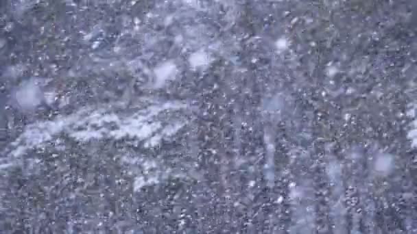 Fondo de nevadas en el bosque de pinos de invierno con árboles de Navidad nevados. Moción lenta — Vídeos de Stock