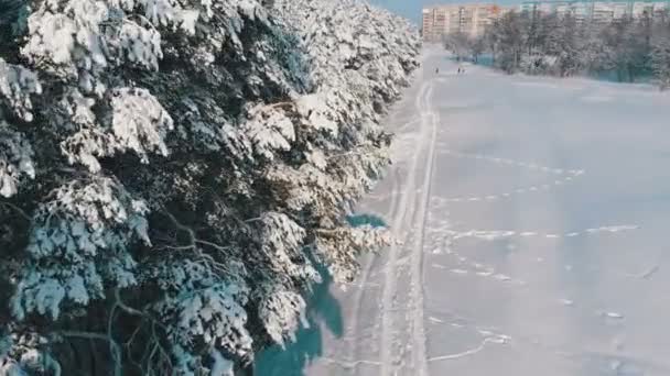 Εναέρια θέα στο πευκοδάσος χειμώνας και χιόνι διαδρομή σε μια ηλιόλουστη ημέρα — Αρχείο Βίντεο