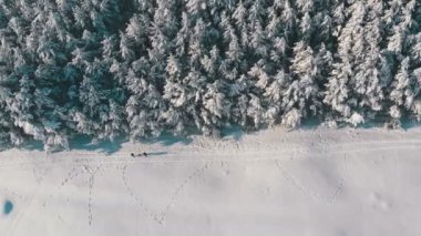 Kış çam ormanı ve güneşli bir kişi ile karlı yolu havadan görünümü