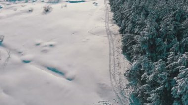 Kış çam ormanı ve güneşli bir günde kar yolu havadan görünümü