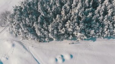 Kış çam ormanı ve güneşli bir kişi ile karlı yolu havadan görünümü