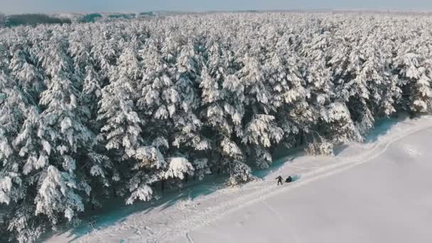 Vista aérea sobre floresta de pinheiros de inverno e caminho nevado com pessoas em um dia ensolarado — Vídeo de Stock