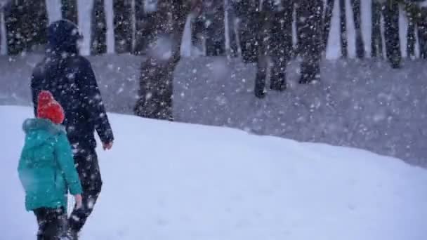 Папа и дочь гуляют по снегу в сосновом лесу во время снегопада. Slow Motion — стоковое видео