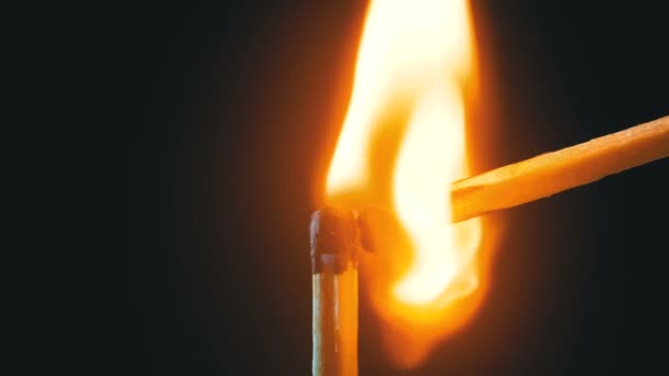 Zündholz und Flamme auf schwarzem Hintergrund. Zeitlupe — Stockvideo