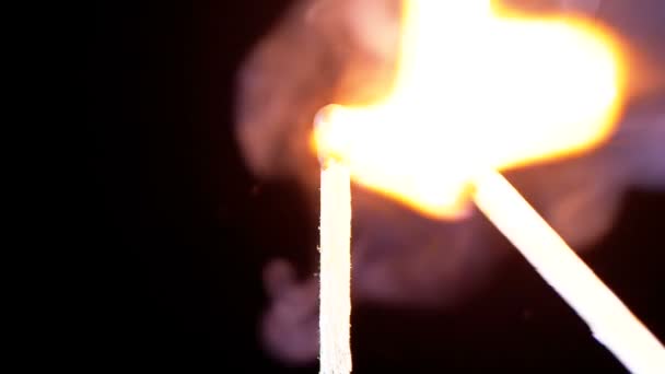 Igniting Match and Flame on a Black Background — Stock Video