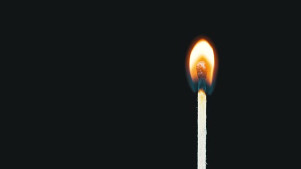 Igniting Match and Flame on a Black Background — Stock Video