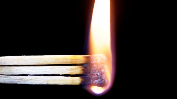 Tre fiammiferi accendono una fiamma su sfondo nero e poi escono creando un sacco di fumo — Video Stock