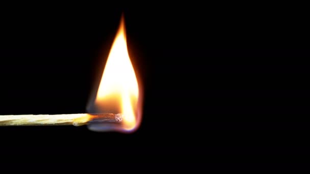Igniting Match and Flame on a Black Background. Movimento lento — Vídeo de Stock