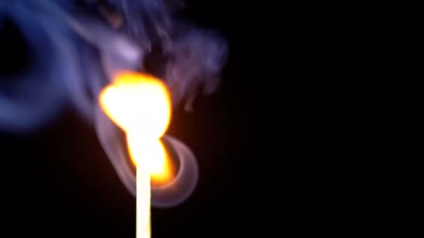 Igniting Match and Flame on a Black Background. Slow Motion — Stock Video