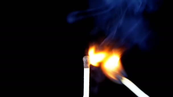 Igniting Match and Flame on a Black Background. Movimento lento — Vídeo de Stock