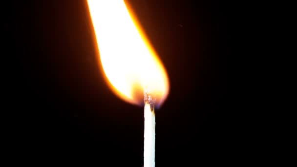 Igniting Match and Flame on a Black Background. Movimento lento — Vídeo de Stock