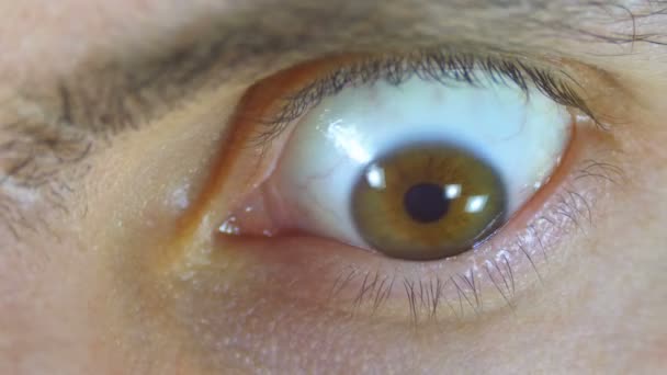 Crazy and Fear Look of Human Eye. Mouvement lent — Video