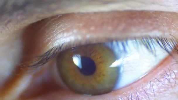 Macro Primer plano Hombre ojo humano parpadeo — Vídeo de stock