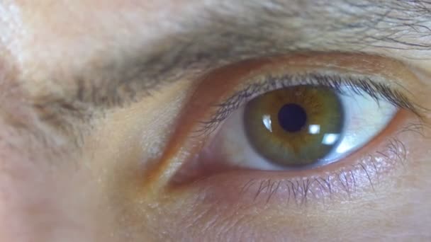 Manliga mänskliga ögat blinkar. Närbild. — Stockvideo