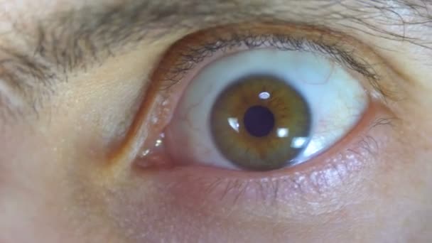 Verrückter und ängstlicher Blick des menschlichen Auges — Stockvideo