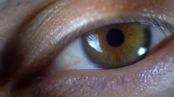 Macro Primer plano Hombre ojo humano parpadeo — Vídeos de Stock