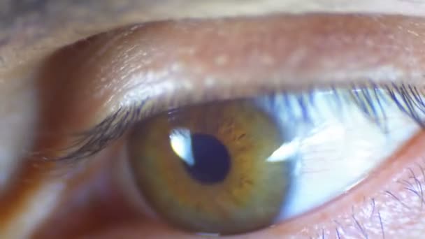 Macro Décryptages Homme Clignotant des yeux — Video