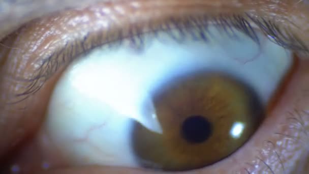 Crazy and Fear Look of Human Eye. Le globe oculaire grand ouvert, se retourne dans la panique et regarde autour. Au ralenti. Gros plan fou regarde autour, semble surpris. Œil brun avec une teinte verte. globe oculaire, cornée, et 