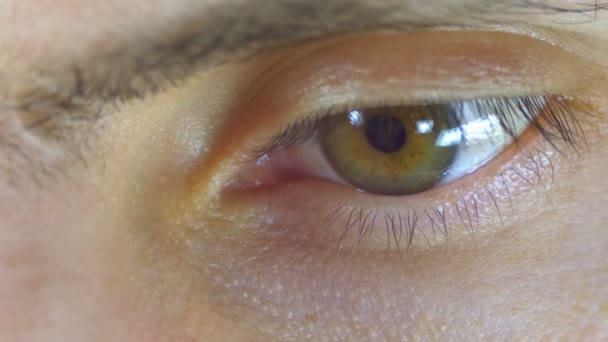 Male Human Eye Blinks. Close-up. — Stock Video