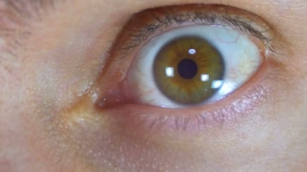 Crazy and Fear Look of Human Eye (em inglês). Movimento lento — Vídeo de Stock