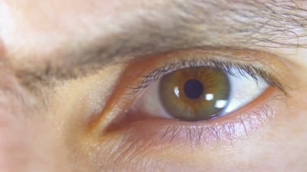 Männliches menschliches Auge blinzelt. Nahaufnahme. — Stockvideo