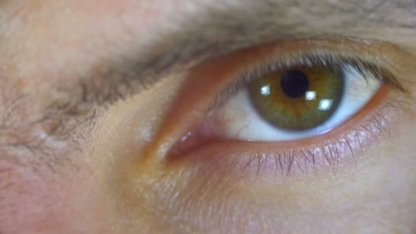 Male Human Eye Blinks. Close-up. — Stock Video
