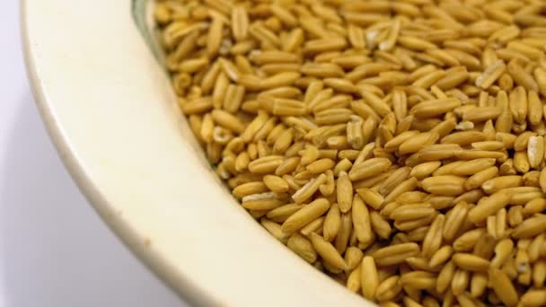 Grains of Raw Oat Groats Rotate on a White Plate Close-up — Stok Video