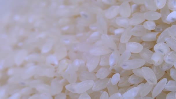 Körner von rohem Reis drehen sich aus nächster Nähe — Stockvideo