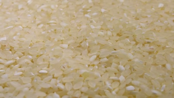 Grãos de arroz cru girar close-up — Vídeo de Stock