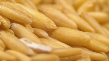 Çiğ yulaf kabuğu çıkarılmış taneleri yakın çekim döndürmek