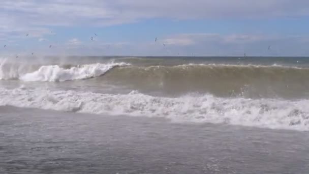 Storm på havet. Enorma vågor är Crashing och besprutning på stranden — Stockvideo