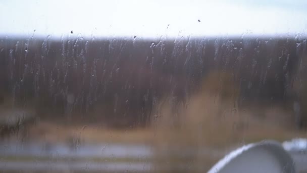 Chuva fora da janela. Gotas de chuva fluem pelo vidro — Vídeo de Stock