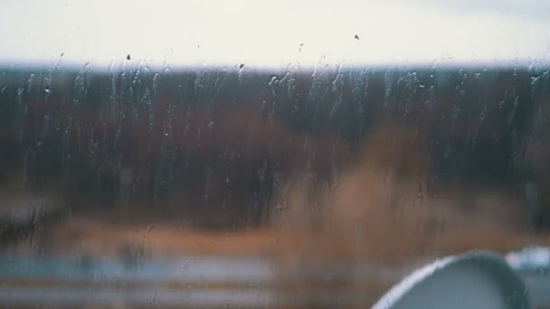 Llueve fuera de la ventana. Gotas de lluvia fluyen por el vidrio — Vídeo de stock