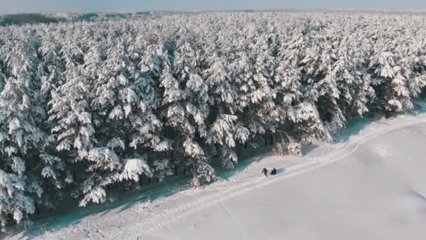 Пташиного польоту на зимових сосновим лісом та засніжених шлях з людьми на сонячний день — стокове відео