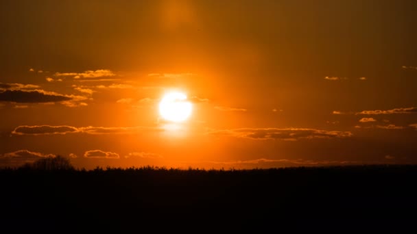 Puesta de sol sobre los árboles y las nubes — Vídeos de Stock