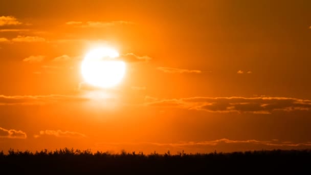 Sonnenuntergang über den Bäumen und Wolken — Stockvideo