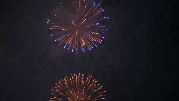 Vuurwerk in de nachtelijke hemel knippert. Slow Motion — Stockvideo