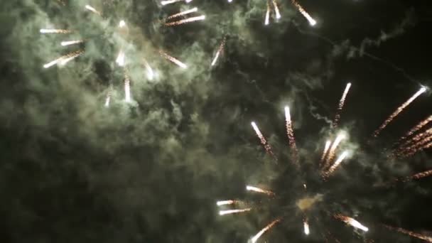 Focuri de artificii intermitente pe cerul nopţii. Slow Motion — Videoclip de stoc