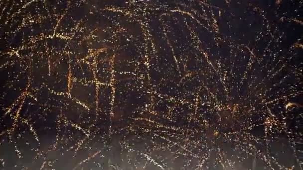 Feux d'artifice clignotant dans le ciel nocturne. Mouvement lent — Video