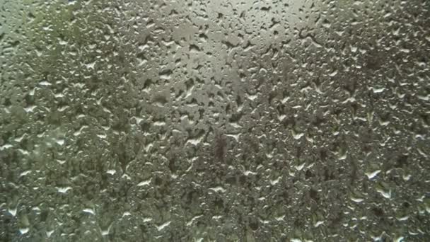 Kapky deště na okenní sklo. Timelapse — Stock video
